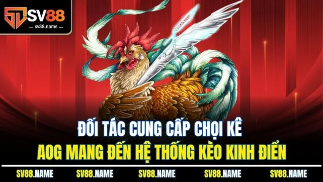 Đối tác cung cấp chọi kê AOG mang đến hệ thống kèo kinh điển