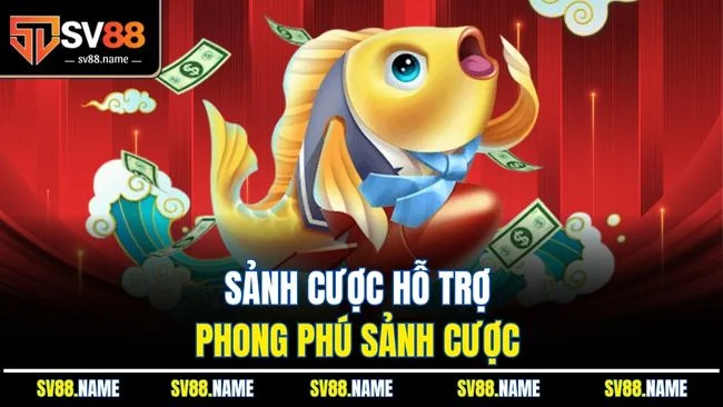 Sảnh cược hỗ trợ phong phú sảnh cược